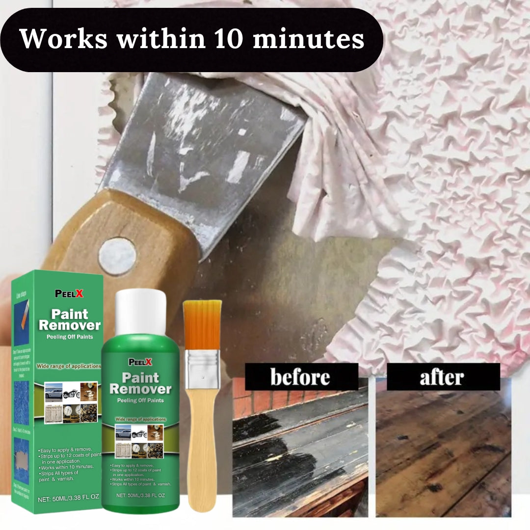 Dissolvant de Peinture Multi-Usages
