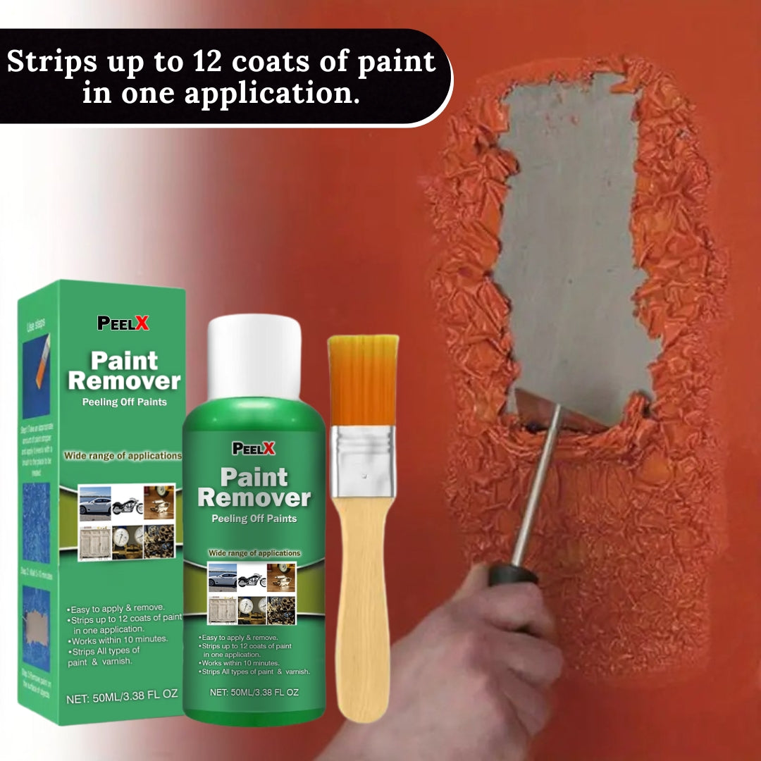 Dissolvant de Peinture Multi-Usages