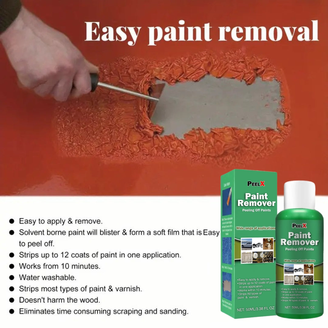 Dissolvant de Peinture Multi-Usages